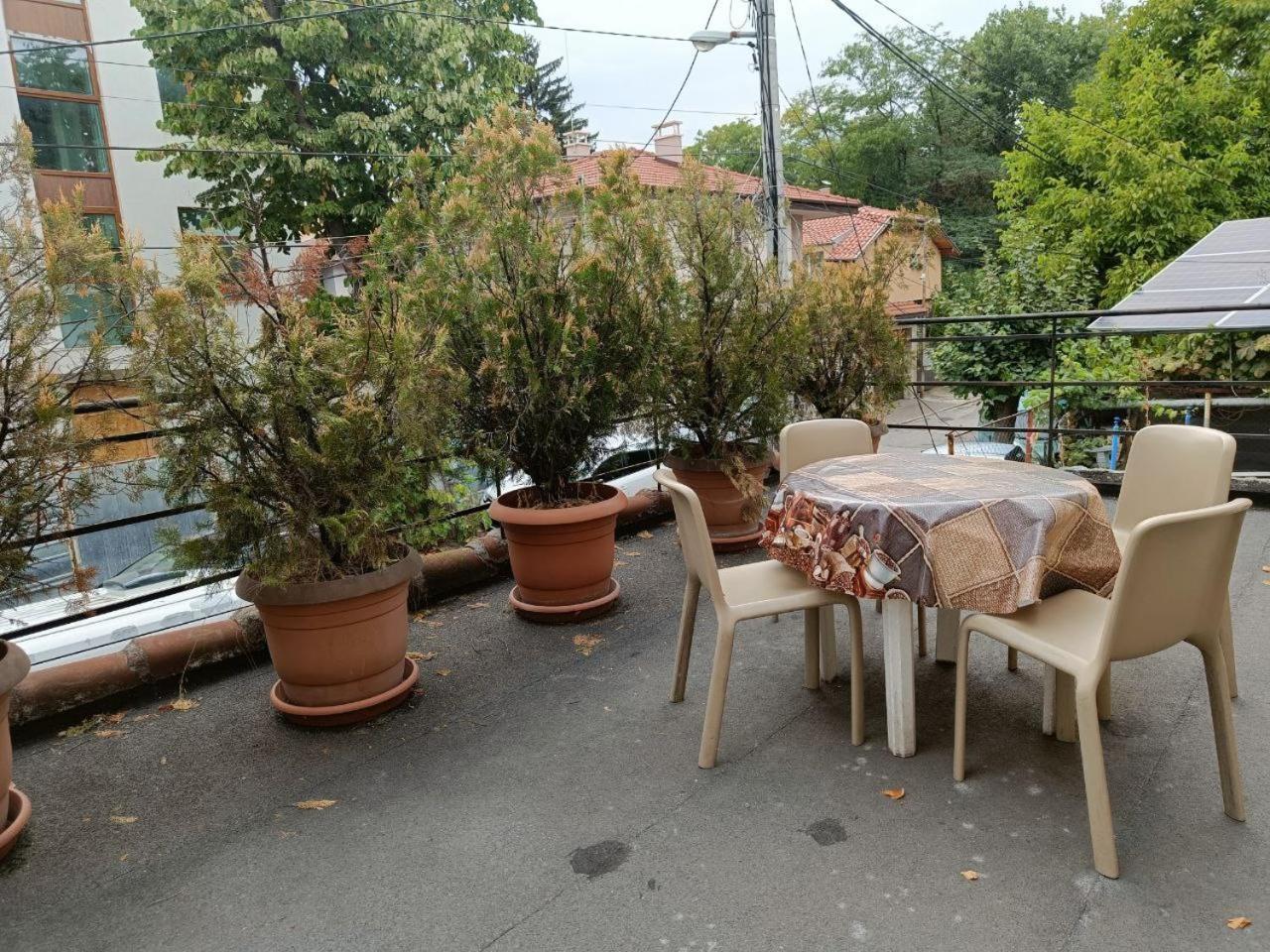 10 Coins Hostel & Tours Sofia Exterior photo